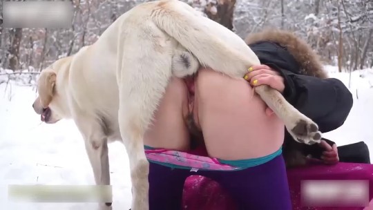 美女冰天雪地里与公狗交配#性交#狗狗