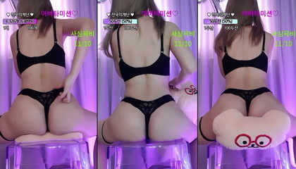 KBJ-23061519 kbj23061519_shsh1908_20230309 - Shsh1908