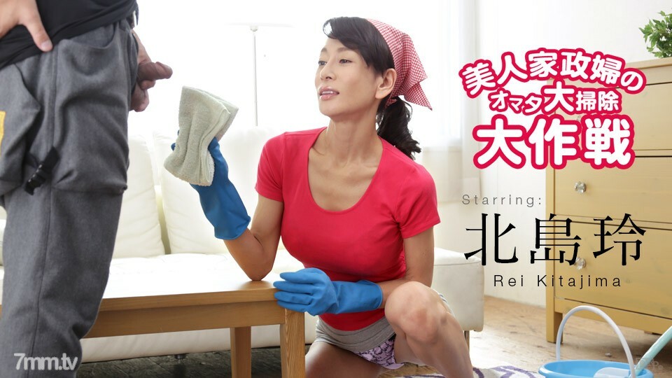 122616-333 美丽管家的大俣保洁攻略北岛玲