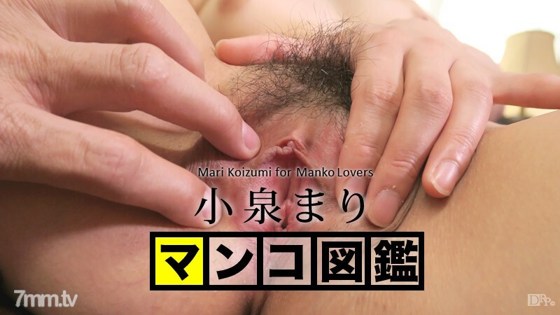 102215-001 猫图画书 Mari Koizumi Mari Koizumi